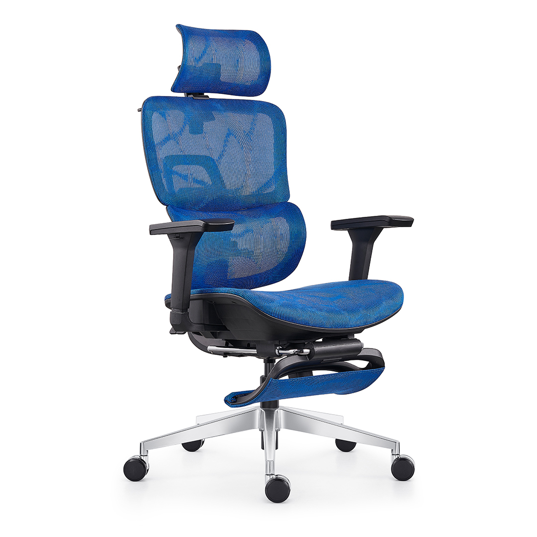 815A-L BLUE MESH 1