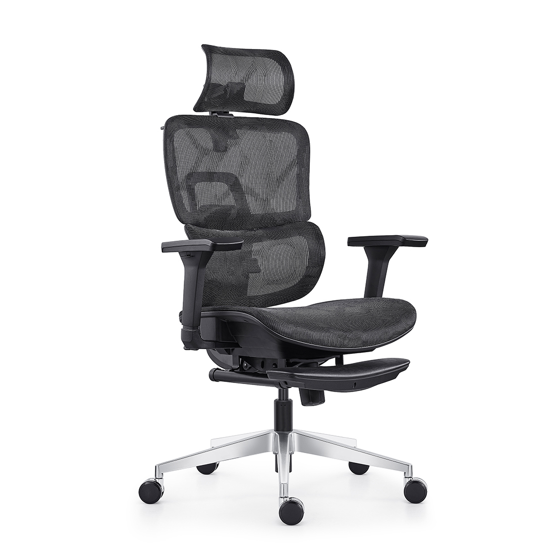 815A-L different ergonomic mesh chair with leather footrest(1)