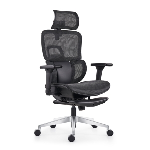 816A-L Ergonomic Chair with Leather Footrest